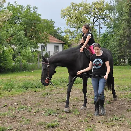 Piknik Park Szabadido Kozpont 假日公园 *
