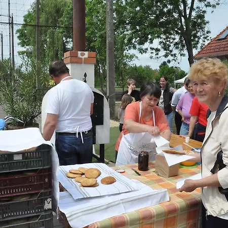 Piknik Park Szabadido Kozpont 假日公园 Mezobereny
